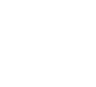 Company Caparol