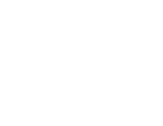 Company Ppg