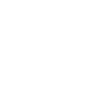 Company Pri