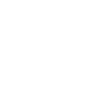 Company Sika